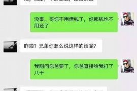 儿子讨债可以吗？法律视角下的债权债务处理